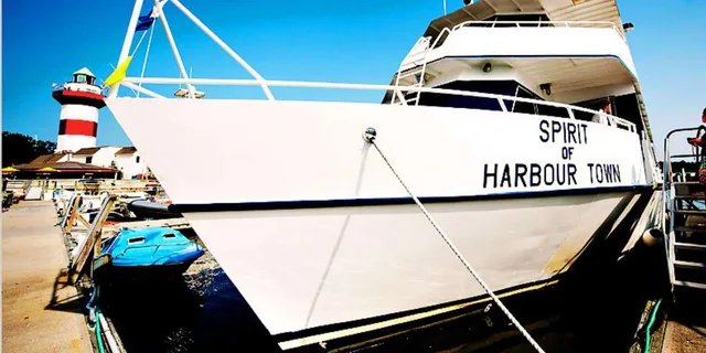Hilton Head Scenic Cruise with Buffet - Image 2