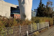 Seattle Historic & Cultural Walking Tour thumbnail 5