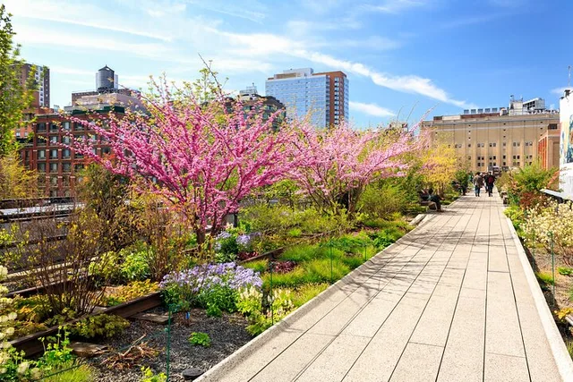 New York City High Line Walking Tour with Edge Access - Image 1