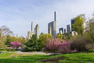 New York City Central Park Private Tour with Carousel Ride thumbnail 1
