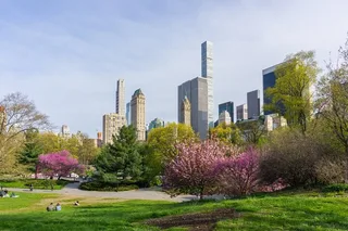 New York City Central Park Private Tour with Carousel Ride