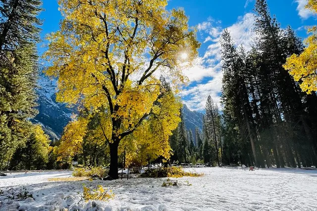 Yosemite Winter Highlights Small Group Tour - Image 2