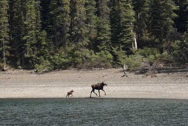 Skagway Yukon Adventure Tour - Image 6