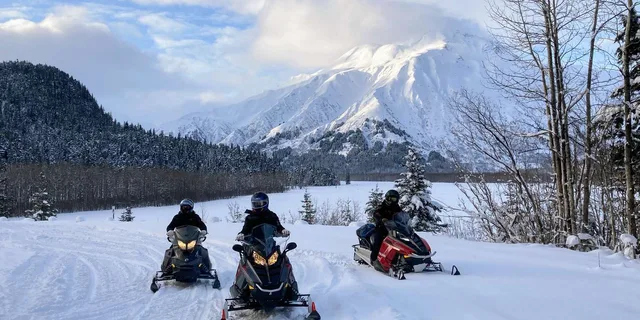 Seward Snowmobile Tour in Kenai Fjords - Image 3
