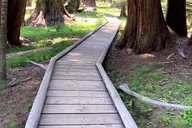 Fresno Yosemite Valley Tour thumbnail 6