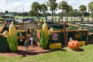 Central Florida Dude Ranch Experience thumbnail 4