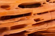 Las Vegas Valley of Fire Private Group Tour 5 hr thumbnail 5