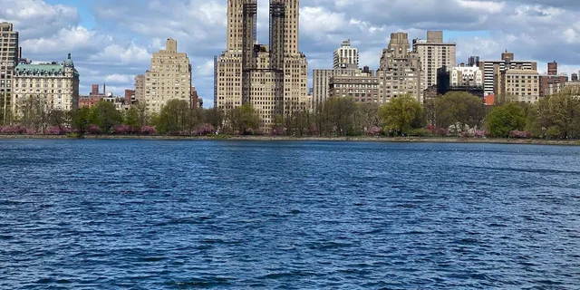 New York Central Park Gluten-Free Food Tour - Image 4