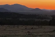Flagstaff E-Bike Tour thumbnail 4