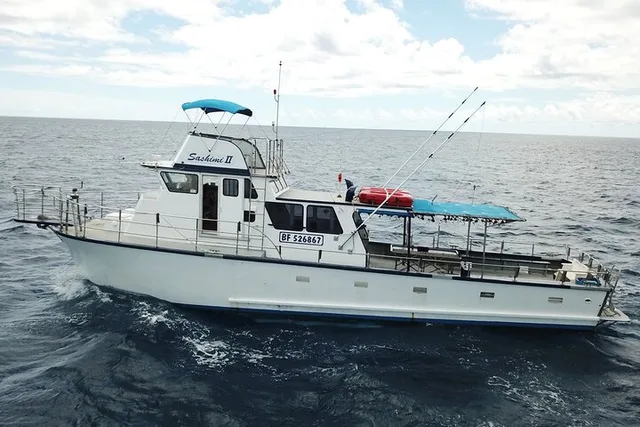 Honolulu Bottom Fishing Adventure 3 hr - Image 3