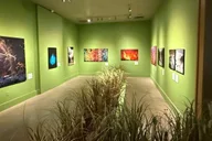 Santa Monica Art Museum Admission thumbnail 1