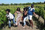 Napa and Sonoma Private Wine Tour thumbnail 5