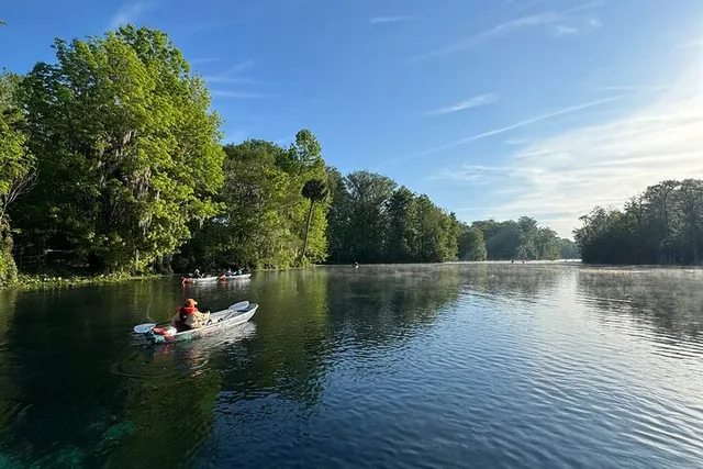 Silver River Clear Kayak Tour - Image 3
