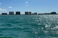Clearwater Jet Ski Dolphin Tour 1 Hour thumbnail 2