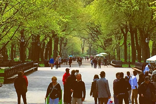 New York Central Park Pedicab Tour 40 Min - Image 3