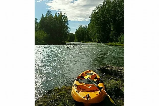 Anchorage Bear Spray Rental - Image 6