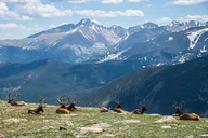 Rocky Mountain National Park Day Tour thumbnail 2