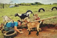 Kauai Farm Animal Experience and MicroDairy Tour thumbnail 1