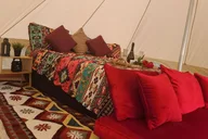 Hollywood Picnic Experience thumbnail 6