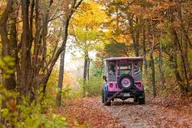 Branson Jeep Tour of Table Rock Lake and Baird Mountain thumbnail 6