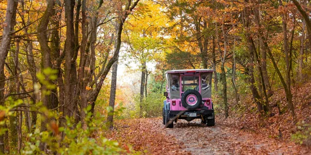 Branson Jeep Tour of Table Rock Lake and Baird Mountain - Image 6