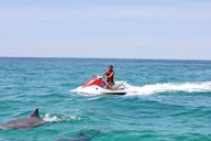Destin Crab Island Dolphin Jet Ski Tour 2 hr thumbnail 3