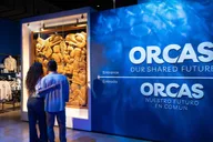 Los Angeles Natural History Museum Entry + Orcas Exhibition thumbnail 1