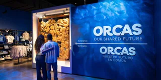 Los Angeles Natural History Museum Entry + Orcas Exhibition