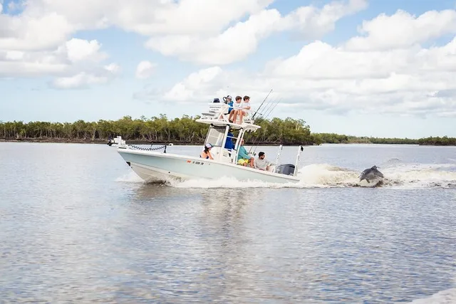 Marco Island Shelling, Fishing, and Eco Tour 4 hr - Image 6