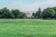 Washington DC Sightseeing Tour 3 hr thumbnail 5