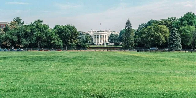 Washington DC Sightseeing Tour 3 hr - Image 5