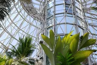 San Antonio Botanical Garden Admission thumbnail 2