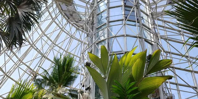 San Antonio Botanical Garden Admission - Image 2