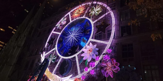 New York City Christmas Lights Horse Carriage Ride - Image 3