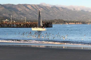 Santa Barbara Nature and History Tour