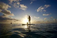 Honolulu Stand Up Paddling thumbnail 3