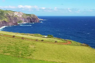 Maui Horseback Adventure at Circle M Ranch