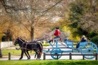 Williamsburg Colonial History Walking Tour thumbnail 6