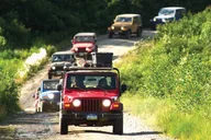 Ketchikan Jeep and Canoe Safari thumbnail 3