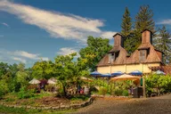 San Francisco Redwoods and Wine Tour thumbnail 4