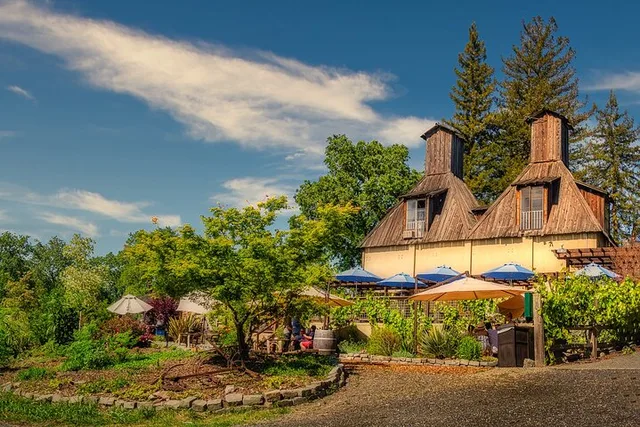 San Francisco Redwoods and Wine Tour - Image 4