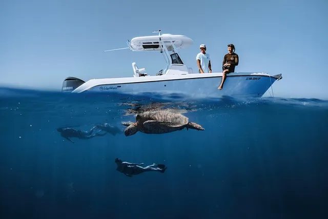 Honolulu Marine Wildlife Snorkel Tour - Image 2