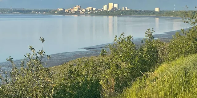 Anchorage Nature Tour with Waterfalls and Lakes - Image 4