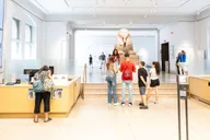 Philadelphia Penn Museum Admission Ticket thumbnail 2