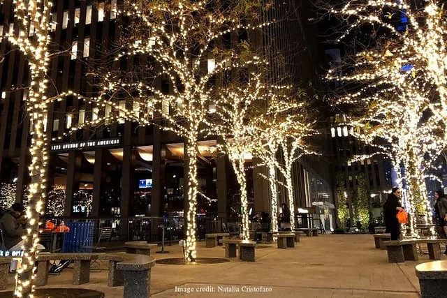 New York Christmas Walking Tour - Image 6