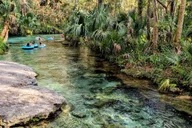 Orlando Everglades Airboat Tour with Pickup thumbnail 4