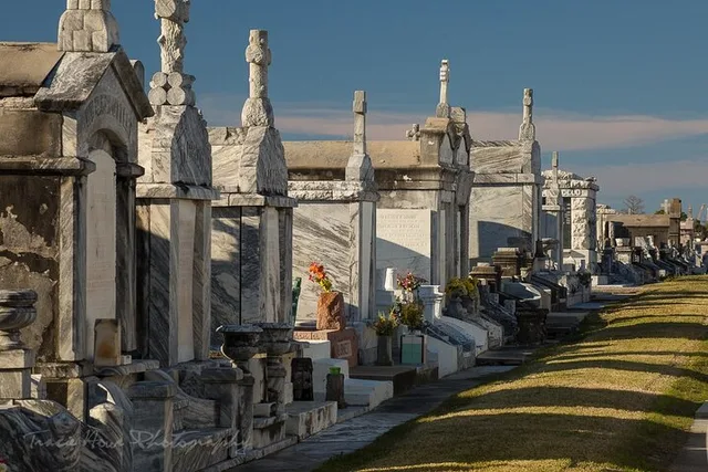 New Orleans Private Custom City Tour - Image 4