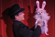 Las Vegas Magic Show with Dinner and Cocktails thumbnail 2