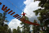 Big Bear Zipline Tour with Suspension Bridge thumbnail 5