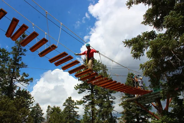 Big Bear Zipline Tour with Suspension Bridge - Image 5